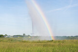 Bright rainbow caused by diffraction of sunlight in water droplets of the sprinkler system