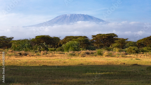 Mount Kilimanjaro  - National park Amboseli - Kenya photo
