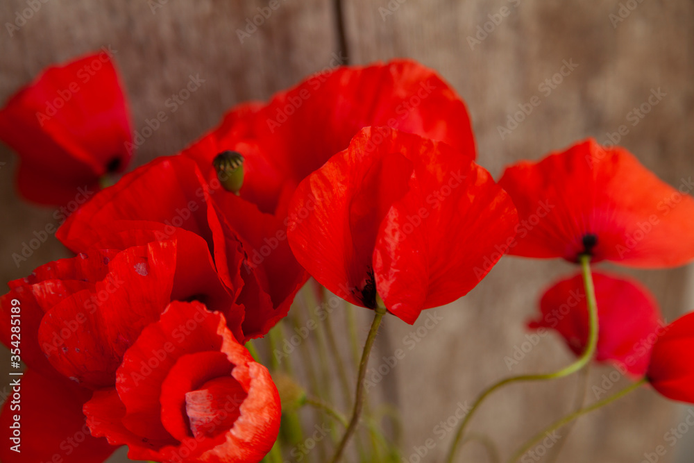 Obraz red poppies bouquet on wooden background