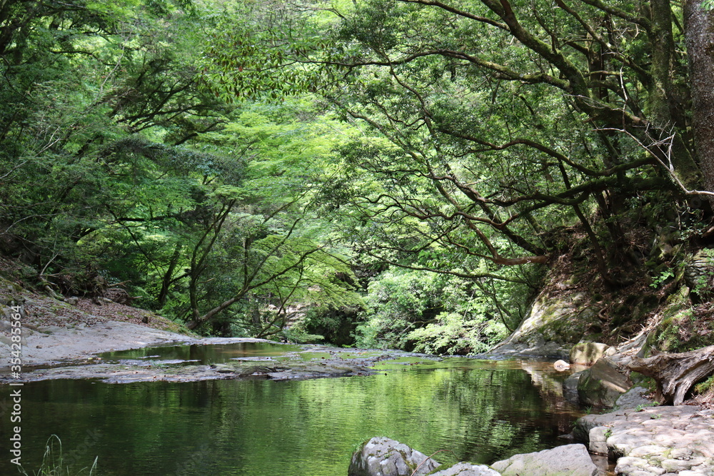 Obraz premium 日本の山奥にある川