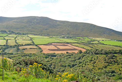 Green landscape with lots of fields, Ireland
