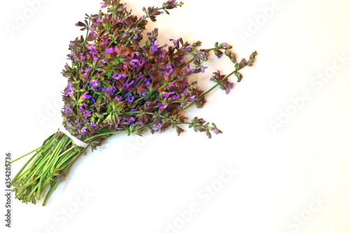 Sage flowers and leaves on white background. Violet herbs. Herbal aroma therapy. Fresh sage herb isolated on white background top view 
