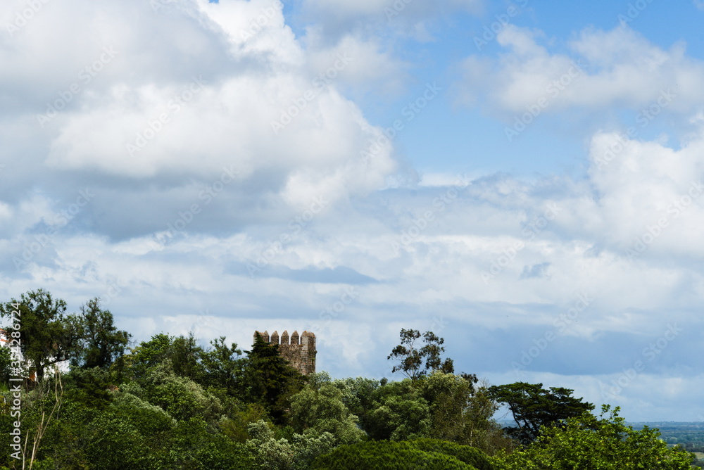 Castle Tower over beautiful greenery and sky background
