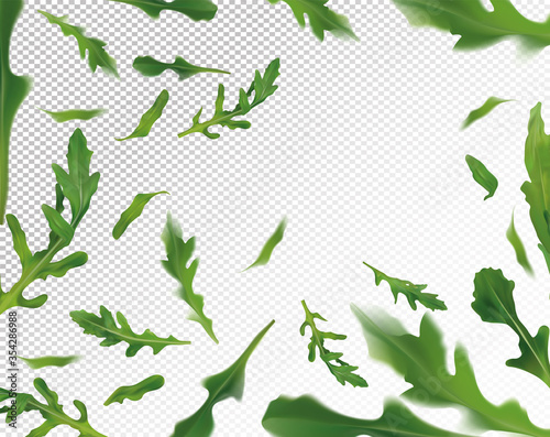 Arugula leaves background. Flying green ruccola on transparent background. Fresh arugula falling from different angles. Vector illustration.