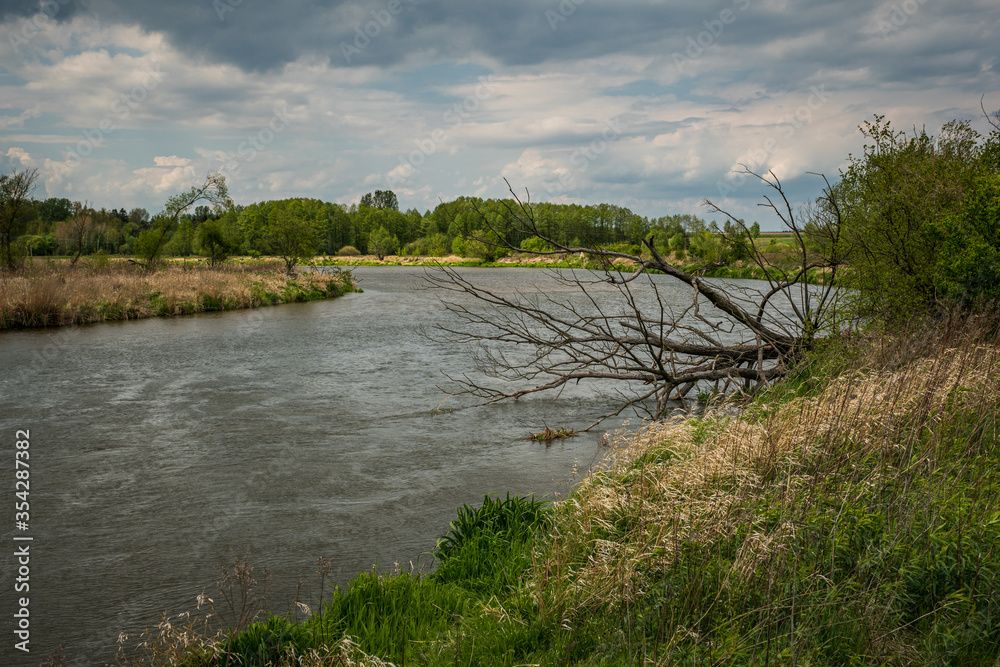 Pilica river at cloudy day near Gostomia, Mazowieckie, Poland