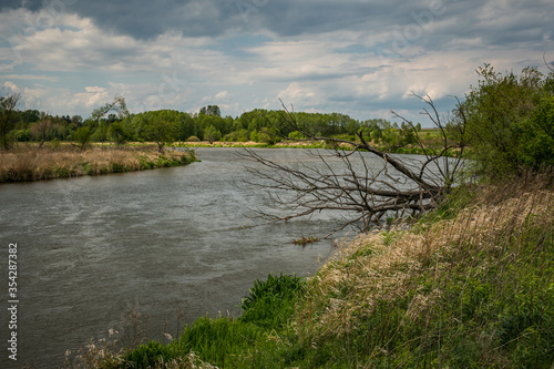 Obraz na płótnie Pilica river at cloudy day near Gostomia, Mazowieckie, Poland w salonie