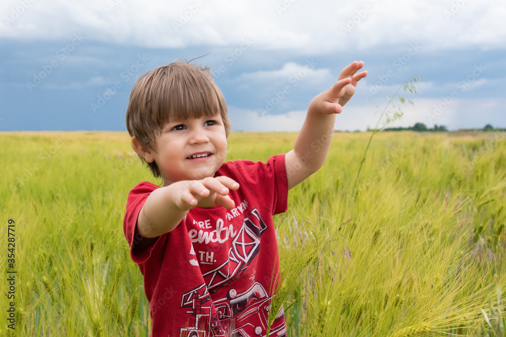 Portrait of a little boy in a wheat field. Child in wheat field Portrait of a little boy in a wheat field. Child in wheat field