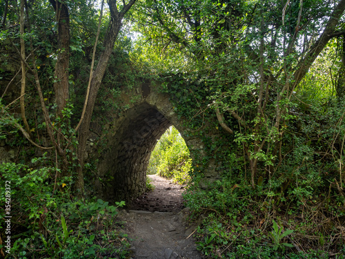 Small old stone arched bridge, hidden in nature undergrowth and weeds. Gateway hidden in green.