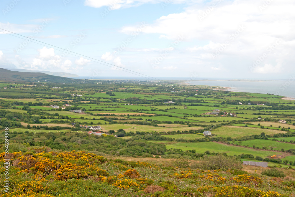 View from a hill on the green landscape with lots of fields, Ireland