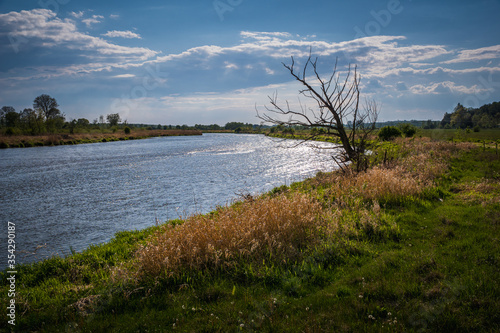 Obraz na płótnie Pilica river at cloudy day near Gostomia, Mazowieckie, Poland w salonie