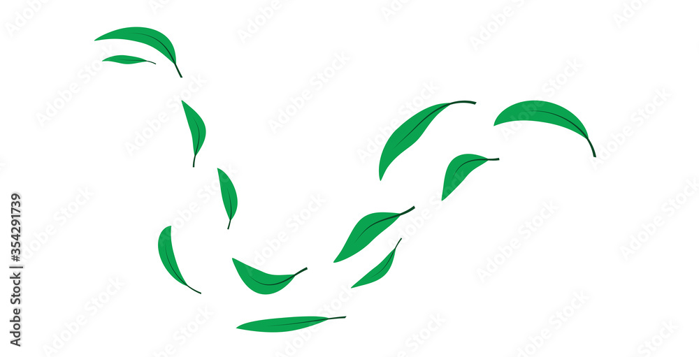 folata di vento, foglie verdi,  foglia