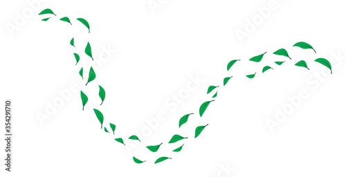 folata di vento, foglie verdi,  foglia