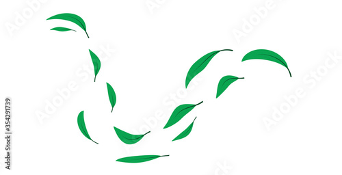 folata di vento, foglie verdi,  foglia