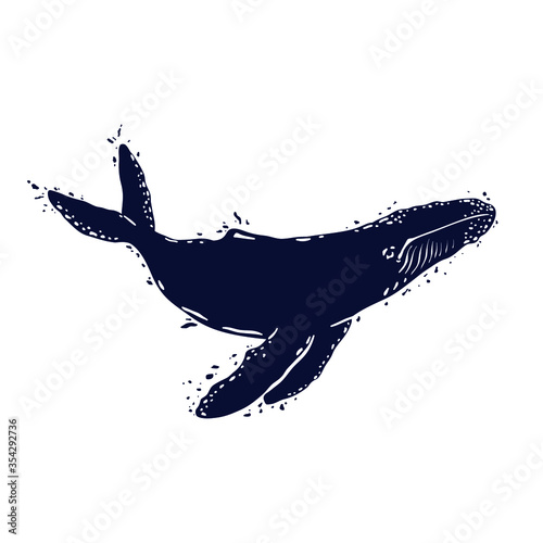 animal, art, background, big, black, blue, design, dirty, drawing, drop, fauna, fin, fish, flipper, giant, graphic, huge, humpback, icon, illustration, ink, isolated, large, life, logo, mammal, nature