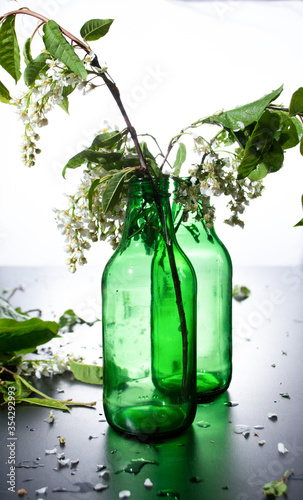 Green glass bottles with flowers bird cherry and green leaves on light dark background with water drops