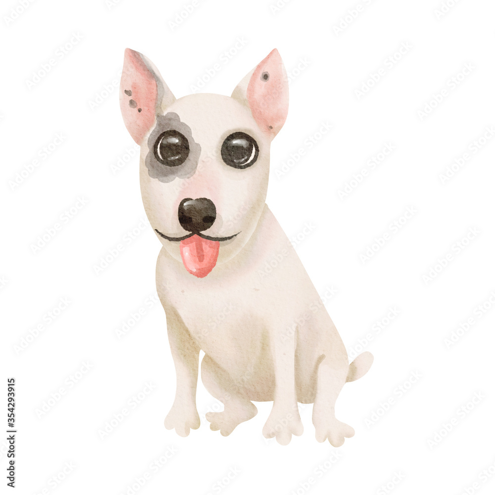 Watercolor illustration of cute English Bull Terrier isolated on white background. Greeting card design. Fashion dog in suit. High quality illustration