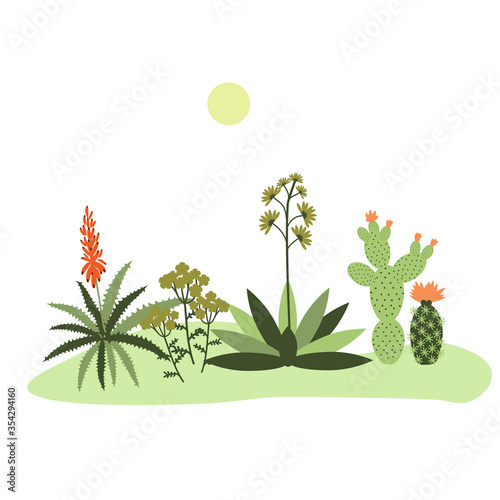 Drought tolerant garden