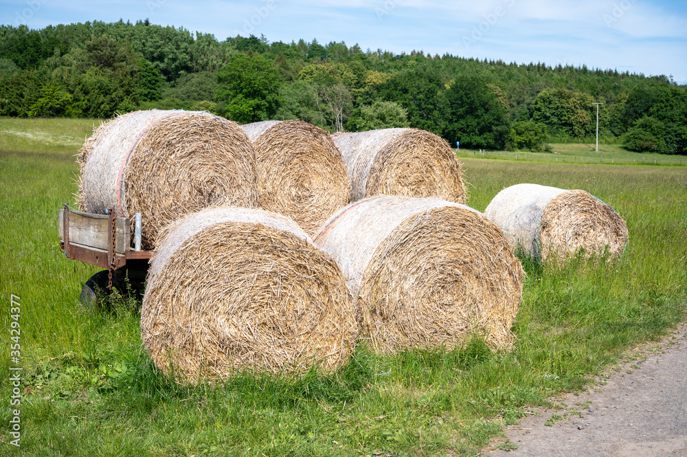 bales of stalks on a trailer in the field bales of stalks on a trailer in the field