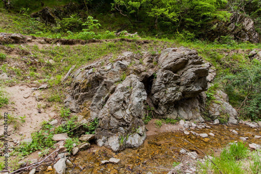  forest rocky creek spring day in nature