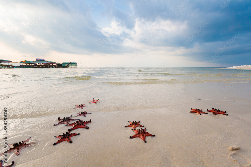 Starfish on Rach Vem beach Phu Quoc