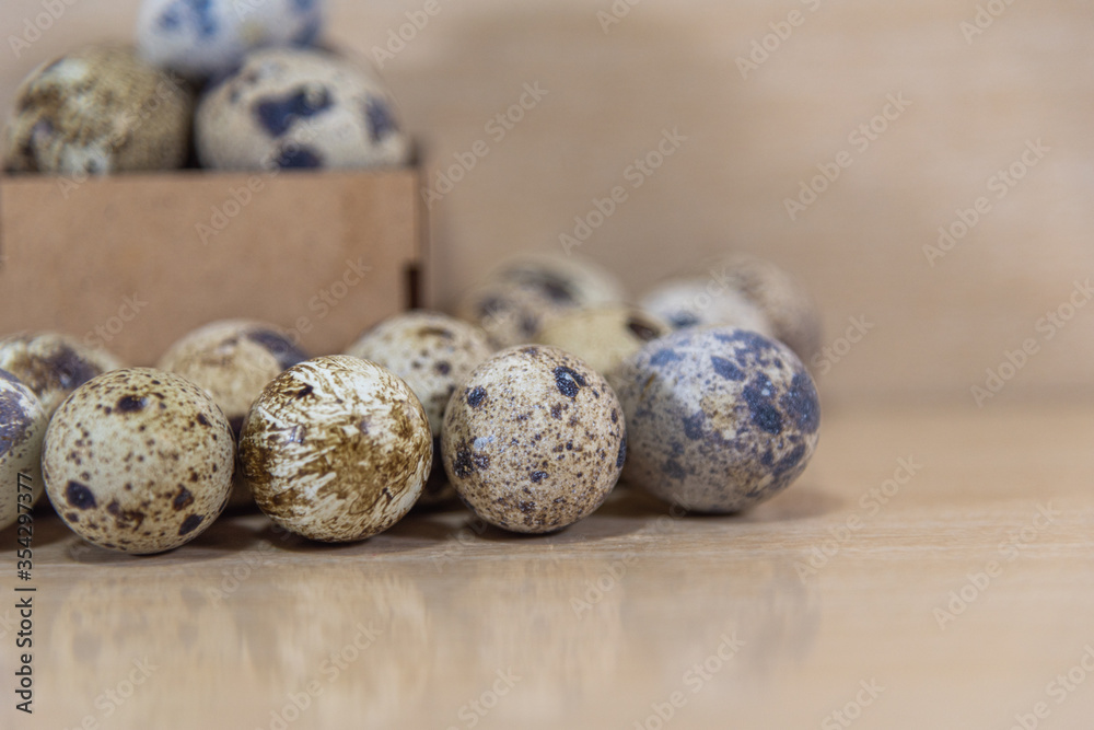 Natural quail bird eggs on light background Natural quail bird eggs on light background