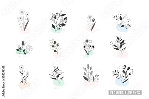 Vector design elements flowers and leaves collection set, hand drawn with herb and flowers, nature background, banner, cover, templates, postcard. © kanitta