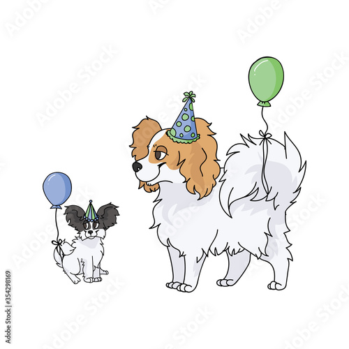 Cute cartoon papillon dog face with party hat vector clipart. Pedigree kennel doggie breed for dog lovers. Purebred domestic puppy for celebration illustration mascot. Isolated canine fluffy. EPS 10. 