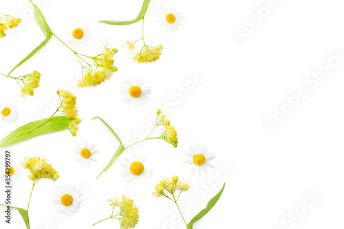 Linden flowers with chamomile isolated on a white background