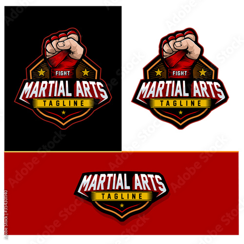 Martial Arts Vector Illustartion Logo Emblem Design Template.2