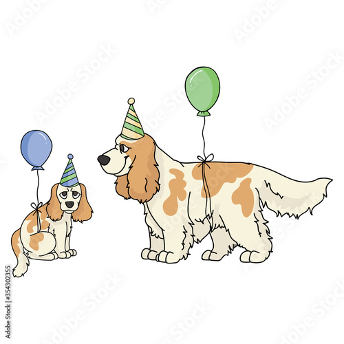 Cute cartoon cocker spaniel dog and puppy with party hat vector clipart. Pedigree kennel dog lovers. Purebred domestic puppy for balloon illustration mascot. Isolated canine English hunting. EPS 10. 