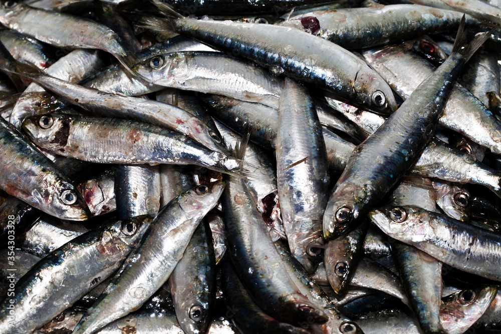 Raw Fresh Seafood Fishes on Market Raw Fresh Seafood Fishes on Market