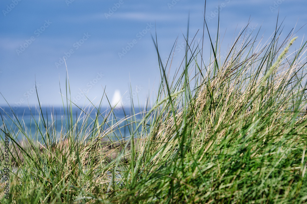 Blick von durch das Dünengras auf die See mit verschwommenem Segelboot im Hintergrund