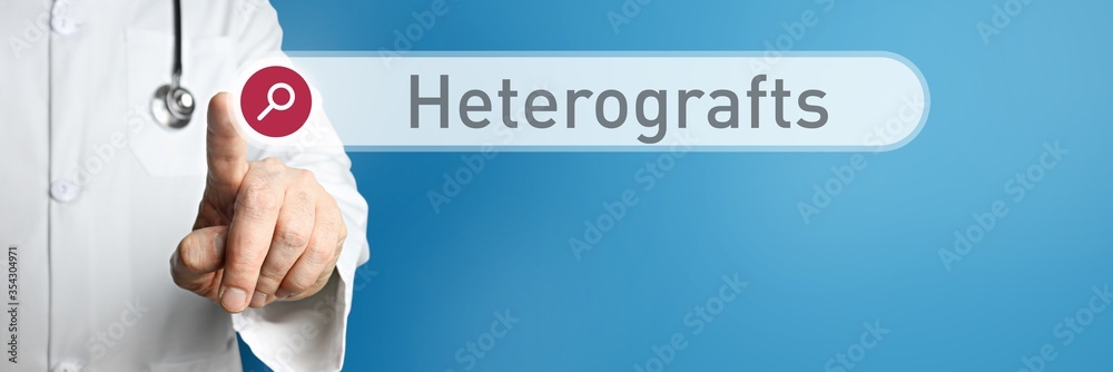 Heterografts. Doctor in smock points with his finger to a search box. The term Heterografts is in focus. Symbol for illness, health, medicine - obrazy, fototapety, plakaty 