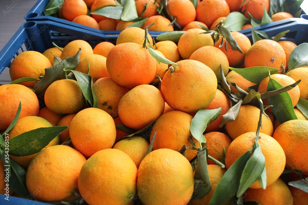 Fresh oranges on the market