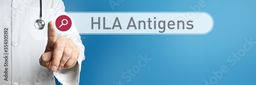 HLA Antigens. Doctor in smock points with his finger to a search box. The term HLA Antigens is in focus. Symbol for illness, health, medicine photo