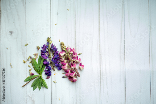 withered pink and purple lupins on a white wooden background. copy space 