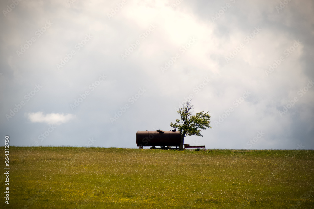 water tank by the tree on the field water tank by the tree on the field