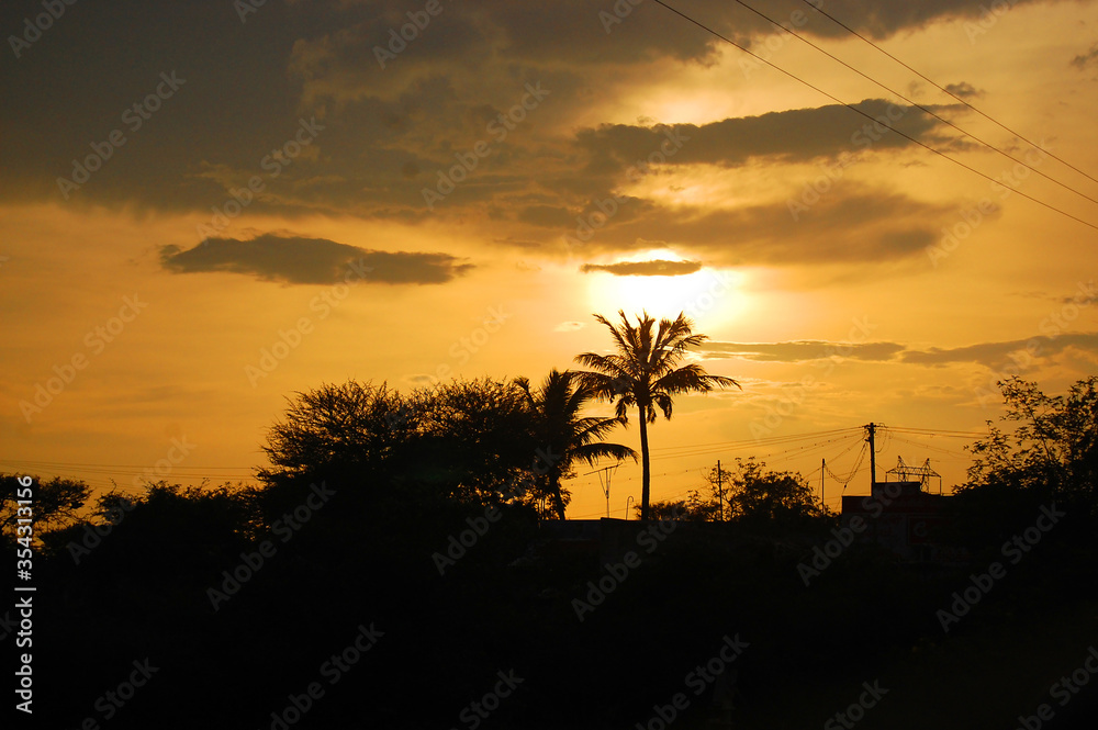 Fototapeta premium palm tree sunset