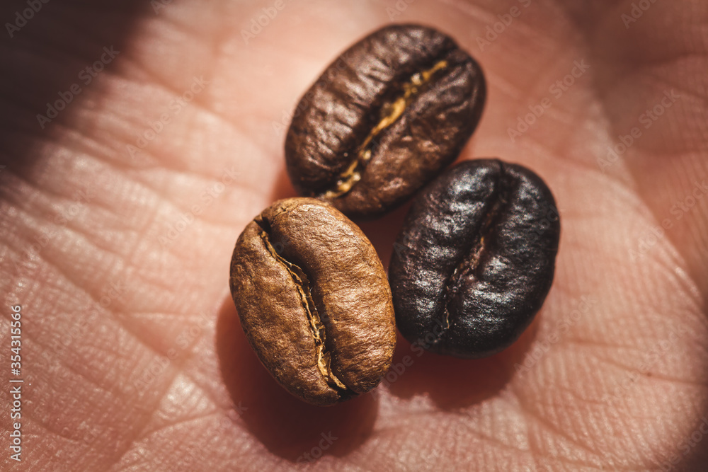 Obraz premium delicious aromatic coffee beans and ground