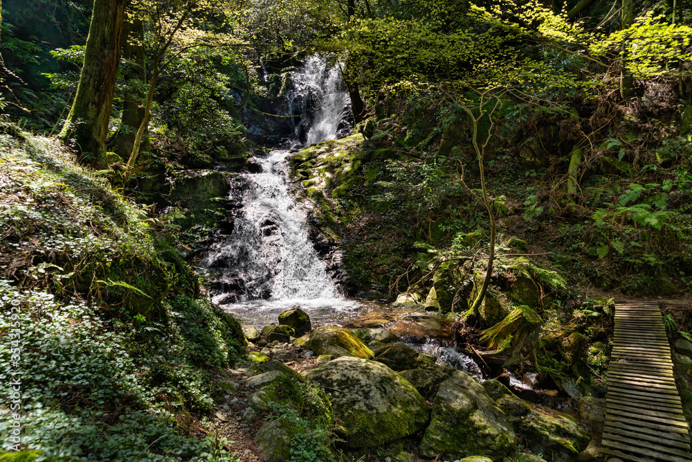 Waterfall is in mountain of Fukuoka prefecture, JAPAN Waterfall is in mountain of Fukuoka prefecture, JAPAN