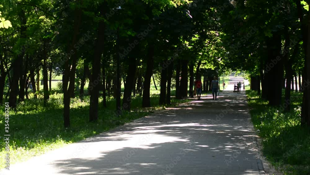 Urban road with green trees. Tree lined street in the summer time. Urban road with green trees. Tree lined street in the summer time.