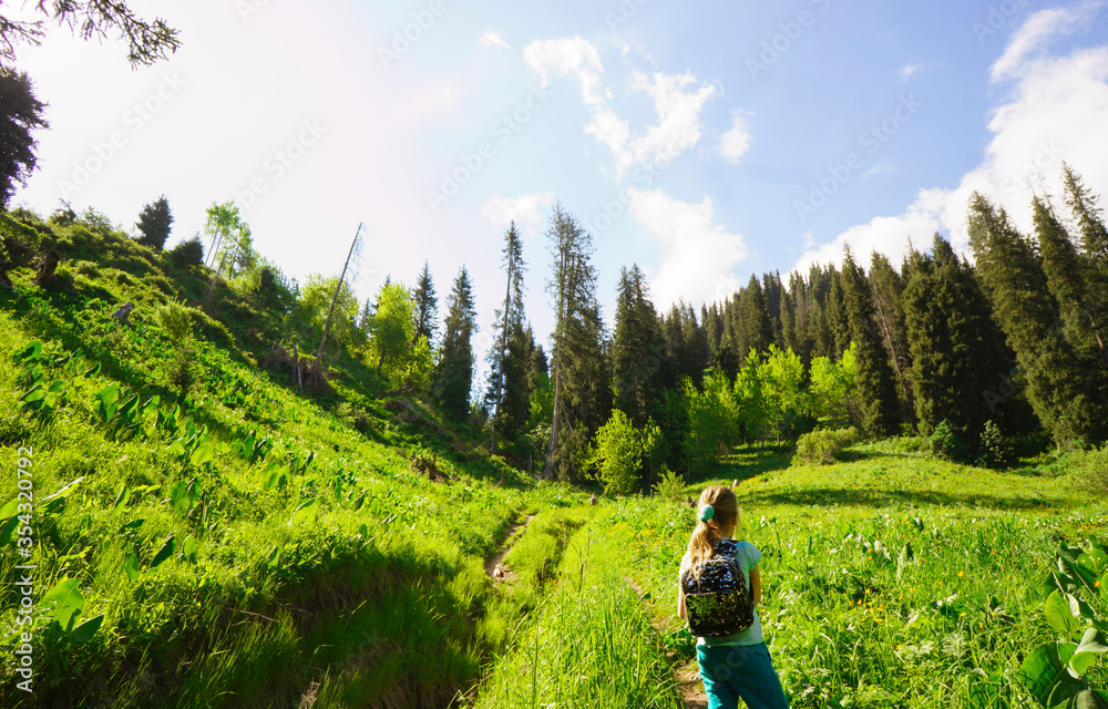 Mountain trail, trekking route in the mountains. Landscape of mountains in the summer. The road among the pine forest in the mountains.Hiking in the mountains.