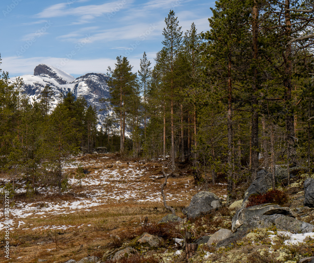 Szczyt górski w okolicy Hemsedal, góry skandynawskie 