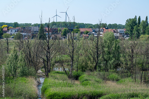 Nature reserve at the waterfalls of Kruibeke. Polder area reclaimed and now used as a flood basin. Antwerp, Belgium photo