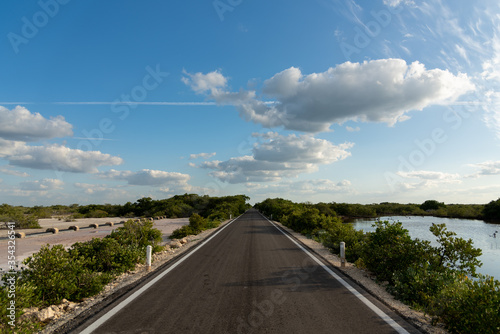 A lonely road through a dry mexican fresh water reservoir area - Progreso, Mexico (Wallpaper)

