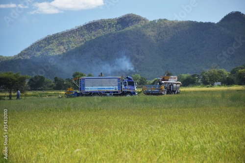 RI,THAILAND-APRIL20,2020 Combine harvesters Harvesting rice in the golden fields on April 20,2020 in Kanchanaburi,Thailand