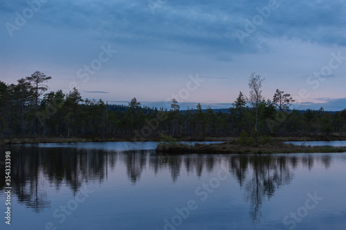Amazing sunset in the swamp. Reflection of vegetation in calm water. Blue hours in Knuthojdmossen, Sweden