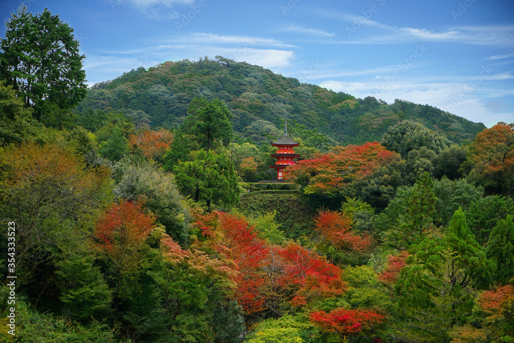 A Beautiful temple inside the forest with autumn effect on trees in Kyoto, Japan