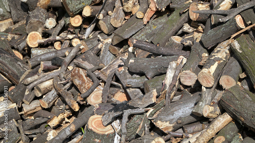 A pile of firewood prepared for heating a house