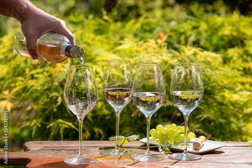 White and rose wine tasting on winery, pouring of cold dry wine in glasses outdoor in sunny day photo